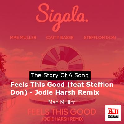 final cover Feels This Good feat Stefflon Don Jodie Harsh Remix Mae Muller