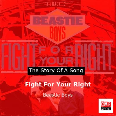 final cover Fight For Your Right Beastie Boys