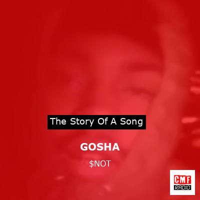 final cover GOSHA NOT