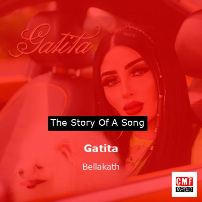 final cover Gatita Bellakath
