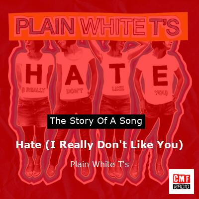 final cover Hate I Really Dont Like You Plain White Ts