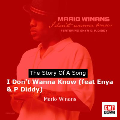 I Don’t Wanna Know (feat Enya & P Diddy) – Mario Winans