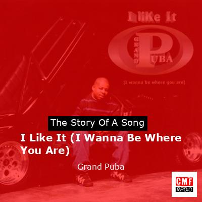 I Like It (I Wanna Be Where You Are) – Grand Puba