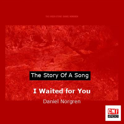 I Waited for You – Daniel Norgren