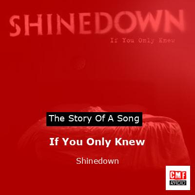 If You Only Knew – Shinedown