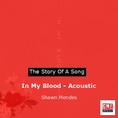 In My Blood – Acoustic – Shawn Mendes