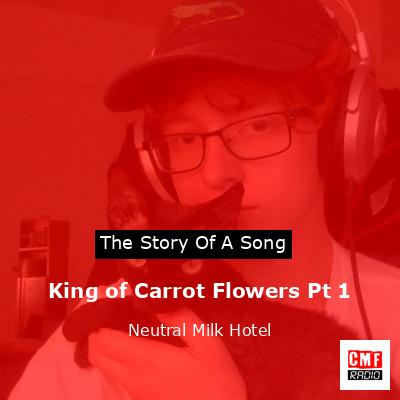 final cover King of Carrot Flowers Pt 1 Neutral Milk Hotel