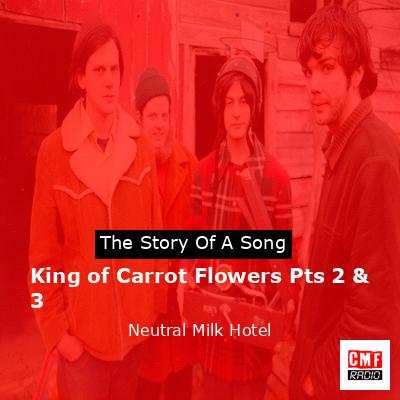 final cover King of Carrot Flowers Pts 2 3 Neutral Milk Hotel
