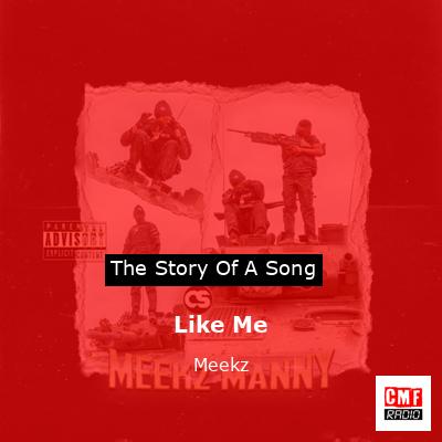 final cover Like Me Meekz