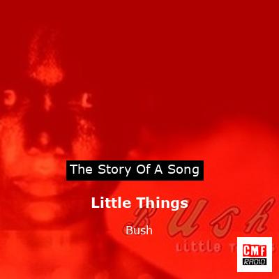 Little Things – Bush
