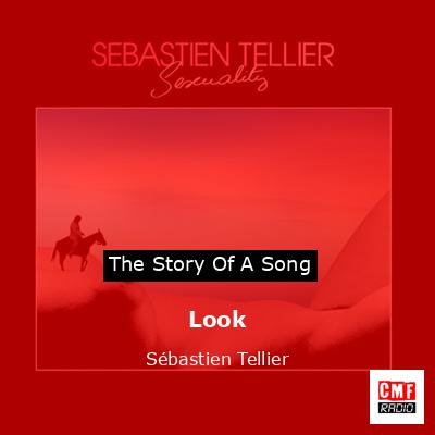 final cover Look Sebastien Tellier