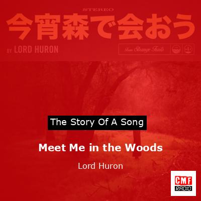 Meet Me in the Woods – Lord Huron