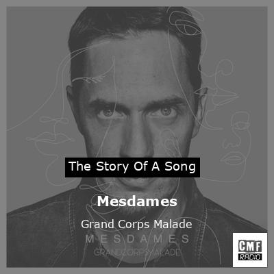 Mais je t'aime - song and lyrics by Grand Corps Malade, Camille