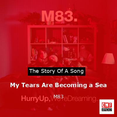 My Tears Are Becoming a Sea – M83
