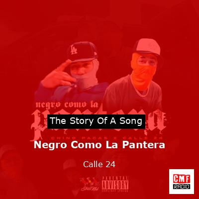 Negro Como La Pantera – Calle 24