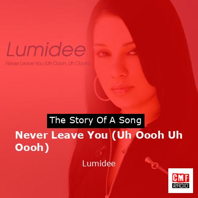 Never Leave You (Uh Oooh Uh Oooh) – Lumidee