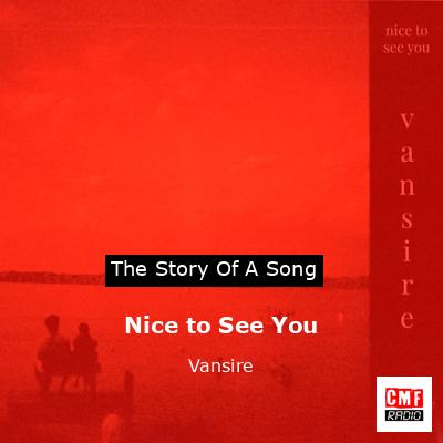 final cover Nice to See You Vansire