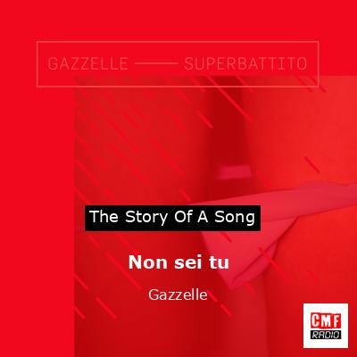 Non sei tu – Gazzelle
