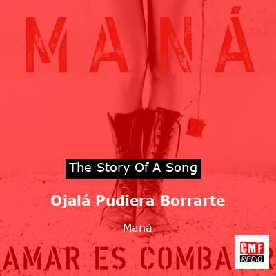 Ojalá Pudiera Borrarte – Maná