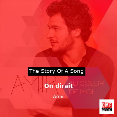 final cover On dirait Amir