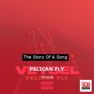 PELICAN FLY – Veysel