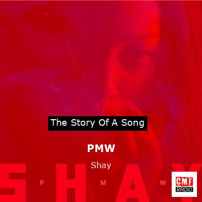 PMW – Shay