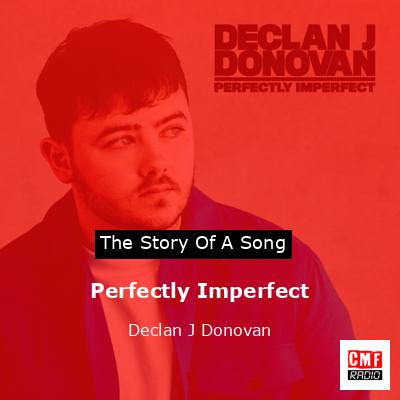 final cover Perfectly Imperfect Declan J Donovan