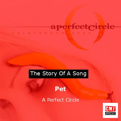 Pet – A Perfect Circle