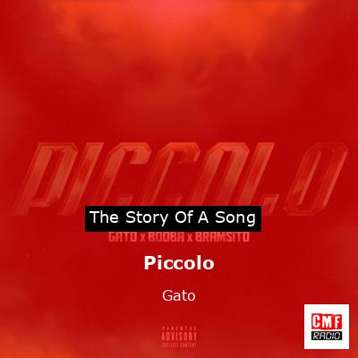 Piccolo – Gato