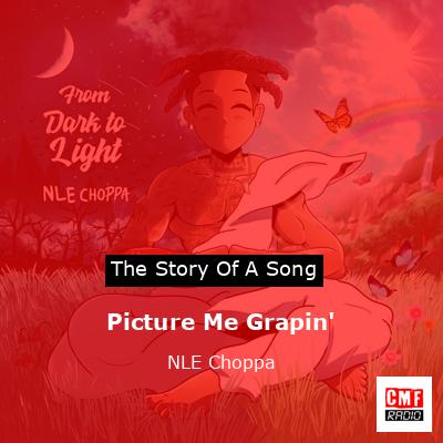 Picture Me Grapin’ – NLE Choppa