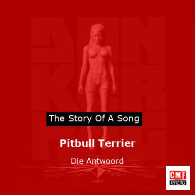Pitbull Terrier – Die Antwoord