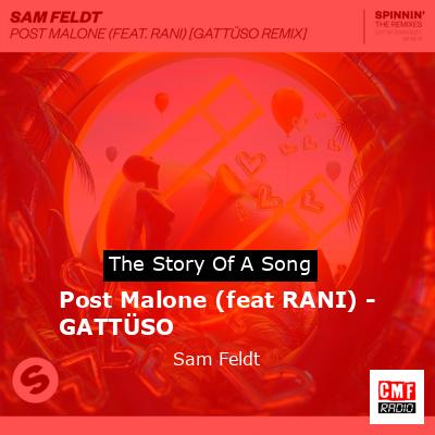 Post Malone (feat RANI) – GATTÜSO – Sam Feldt