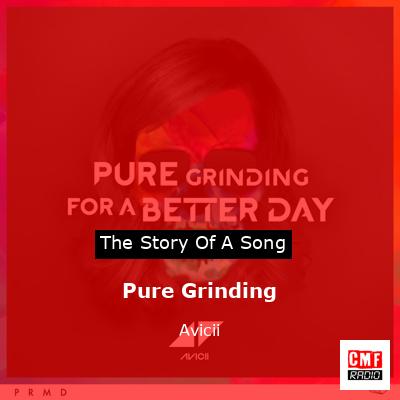 Pure Grinding – Avicii