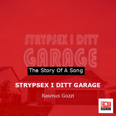 STRYPSEX I DITT GARAGE – Rasmus Gozzi