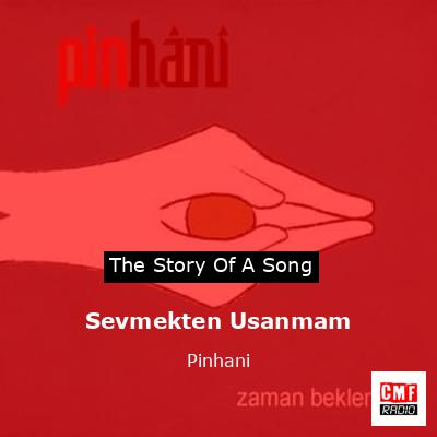 Sevmekten Usanmam – Pinhani