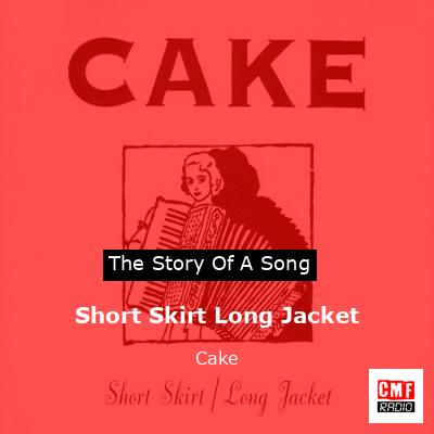 OC A chart of Cakes Short SkirtLong jacket ranked by how ideal that  trait would be in a partner  rfunny