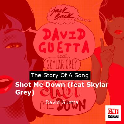 Shot Me Down (feat Skylar Grey) – David Guetta