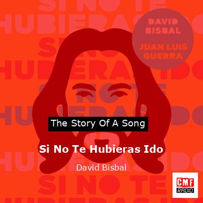 Si No Te Hubieras Ido – David Bisbal