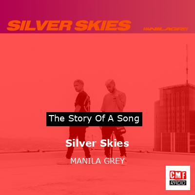 final cover Silver Skies MANILA GREY