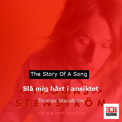 final cover Sla mig hart i ansiktet Thomas Stenstrom