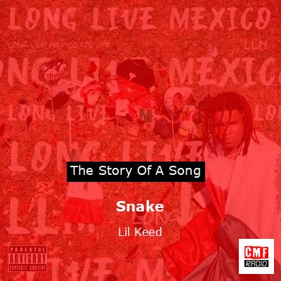 final cover Snake Lil Keed