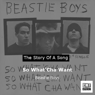 So What’Cha Want – Beastie Boys