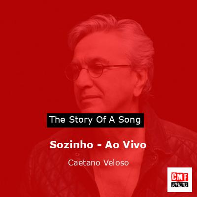 Sozinho – Ao Vivo – Caetano Veloso