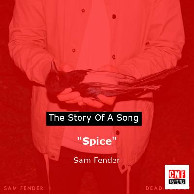 final cover Spice Sam Fender