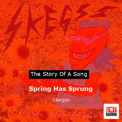Spring Has Sprung – Skegss