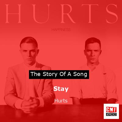 final cover Stay Hurts