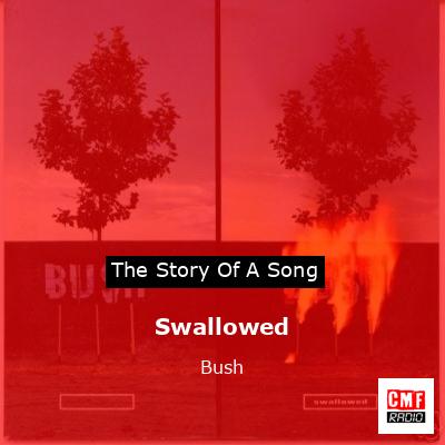 Swallowed – Bush