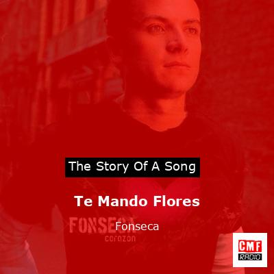 final cover Te Mando Flores Fonseca