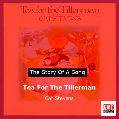 final cover Tea For The Tillerman Cat Stevens