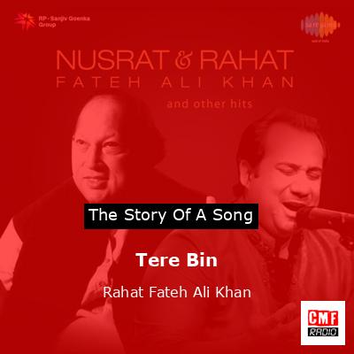 Tere Bin – Rahat Fateh Ali Khan